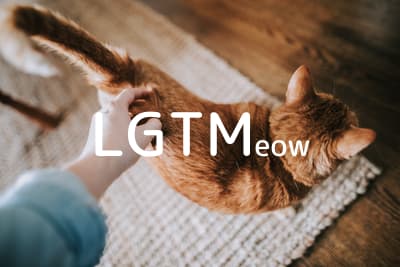 lgtm-cat-image