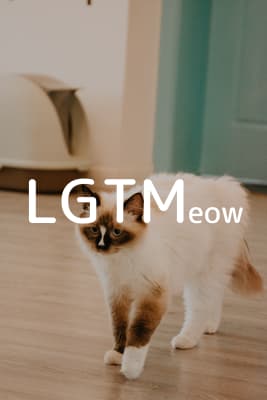 lgtm-cat-image