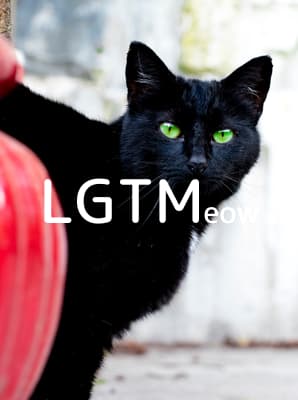 lgtm-cat-image