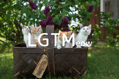 lgtm-cat-image