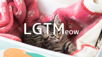 lgtm-cat-image